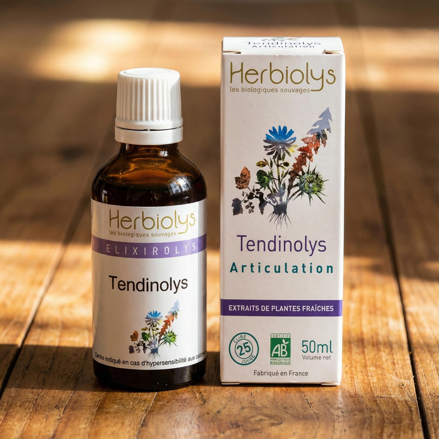 Tendinolys (Body release habits for the desk-bound generation)