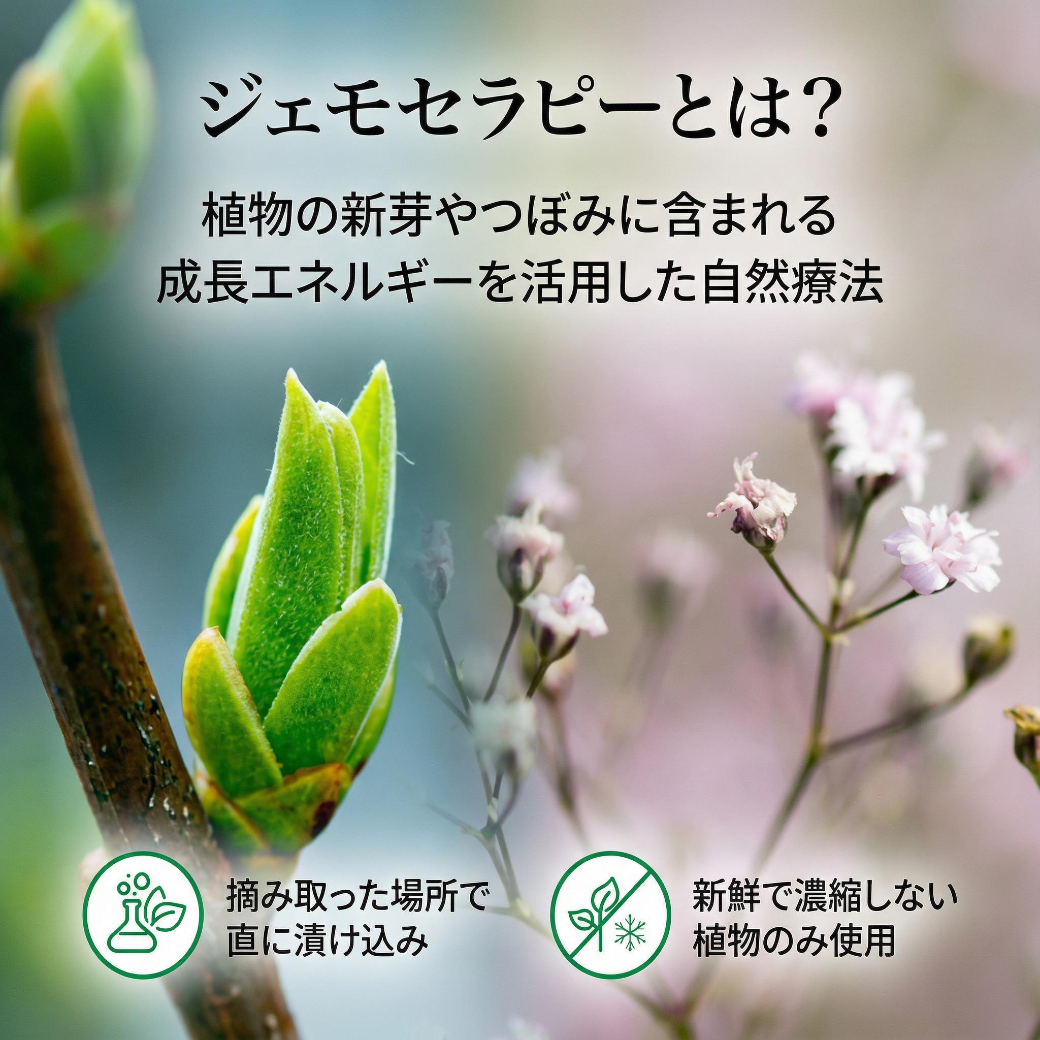 シノリス（Sinolys）｜植物由来サプリ｜HNM公式オンラインストア – HNM
