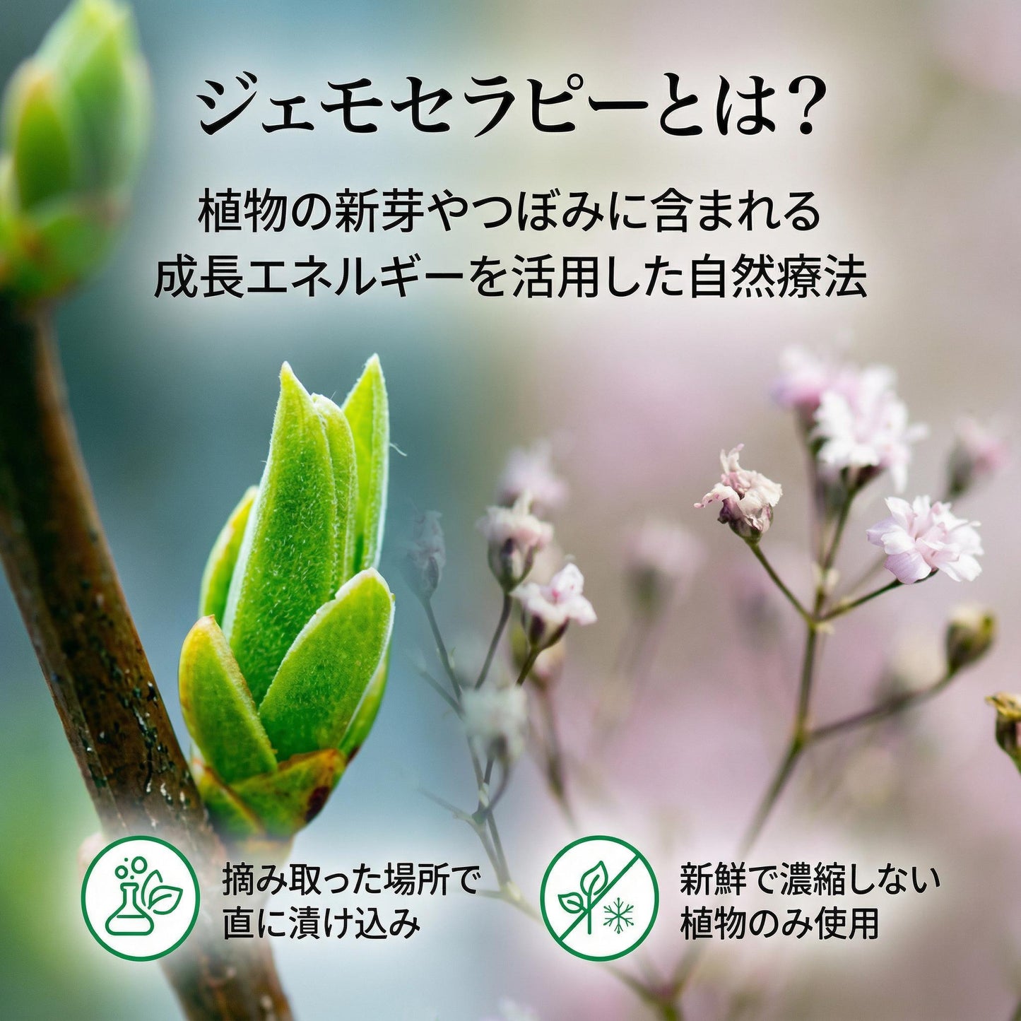 デプラリス | Dépuralys（翌朝の重さが気になる方）