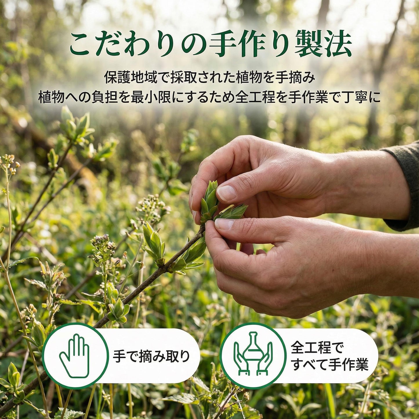 デプラリス | Dépuralys（翌朝の重さが気になる方）