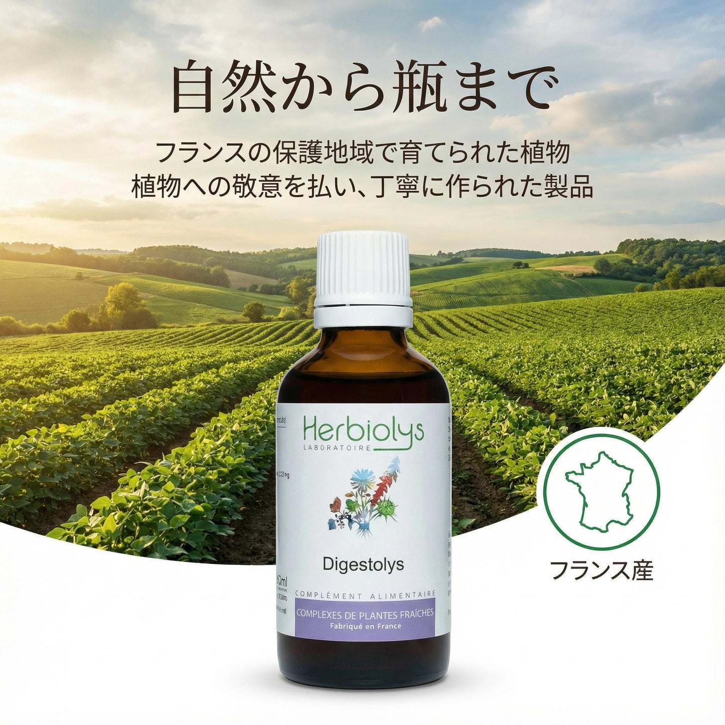 デプラリス | Dépuralys（翌朝の重さが気になる方）